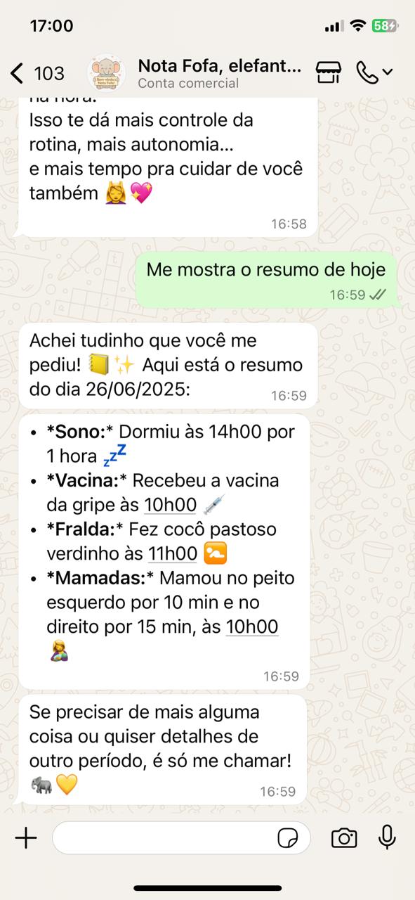 Exemplo WhatsApp 1