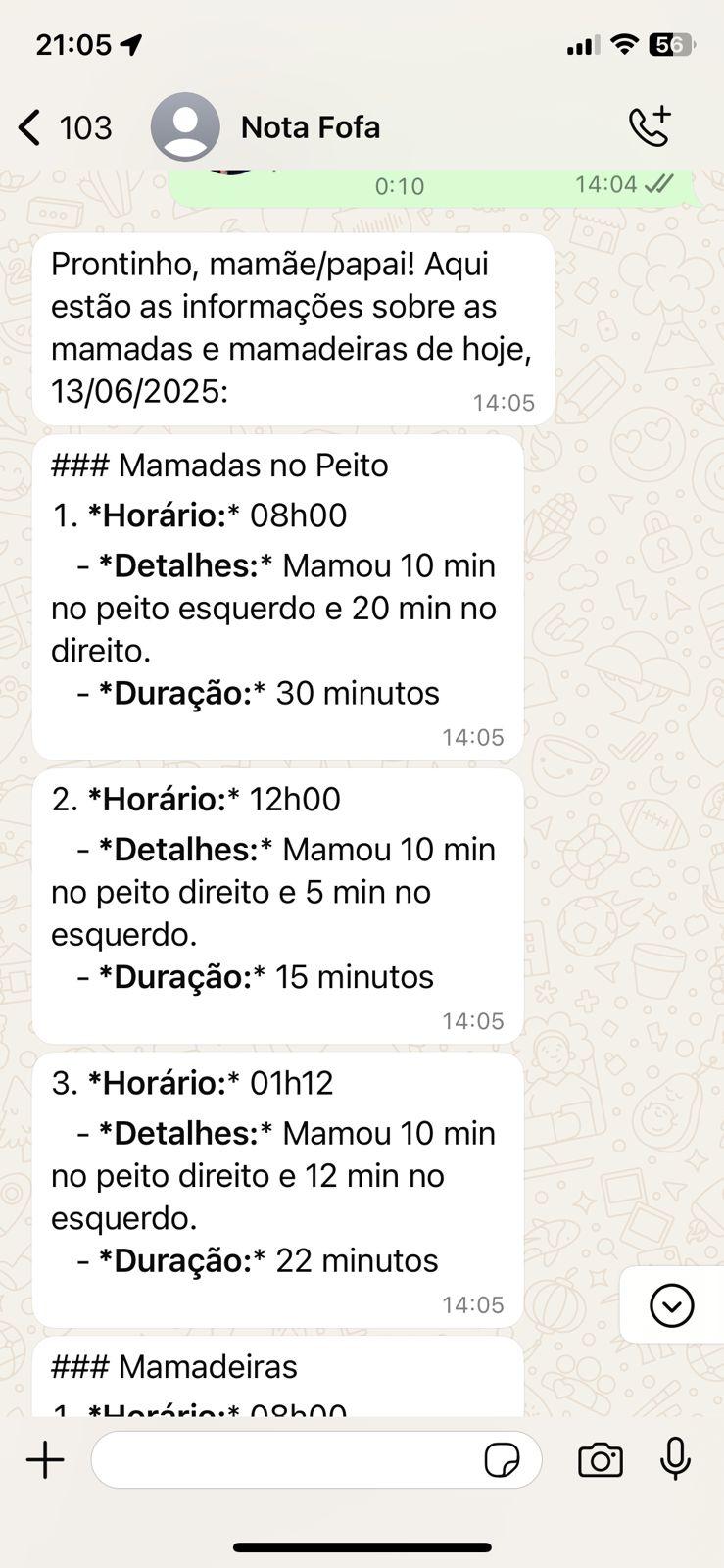 Exemplo WhatsApp 2